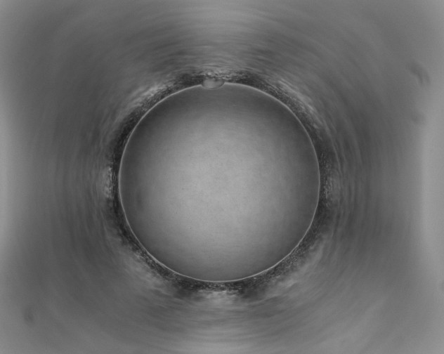 X0000110870689200906181203