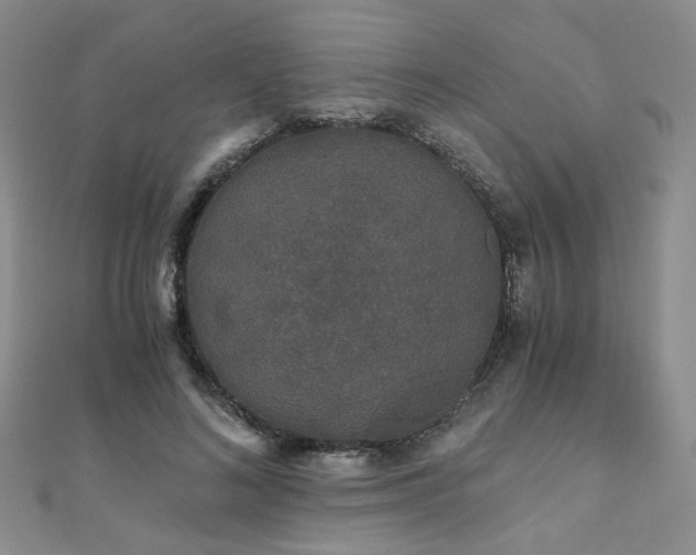 X0000110870692200906181203