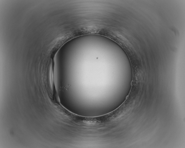 X0000110870693200906181202