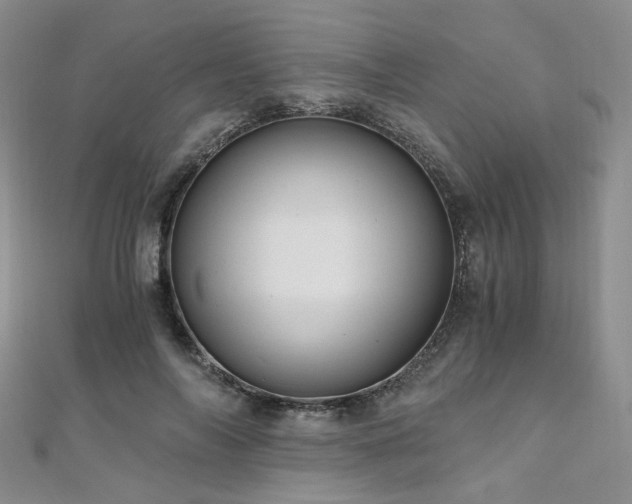 X0000110870694200906181202