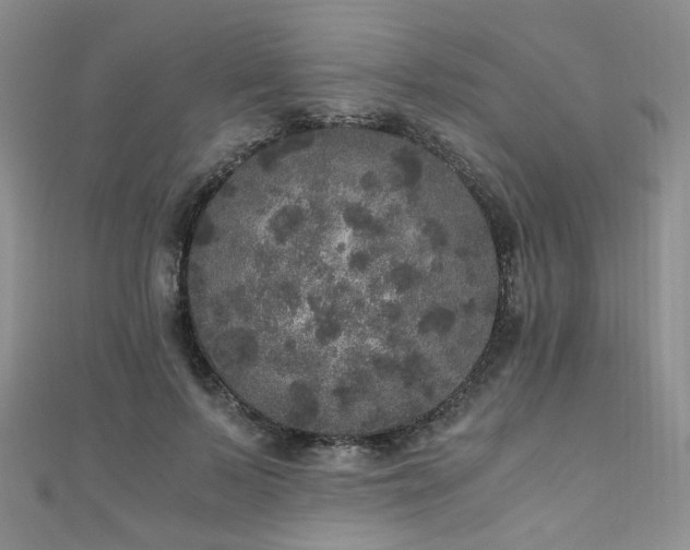 X0000110870695200906181202