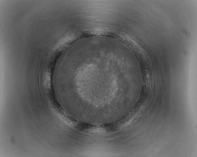 X0000110870696200906181202