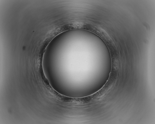 X0000110870697200906181202