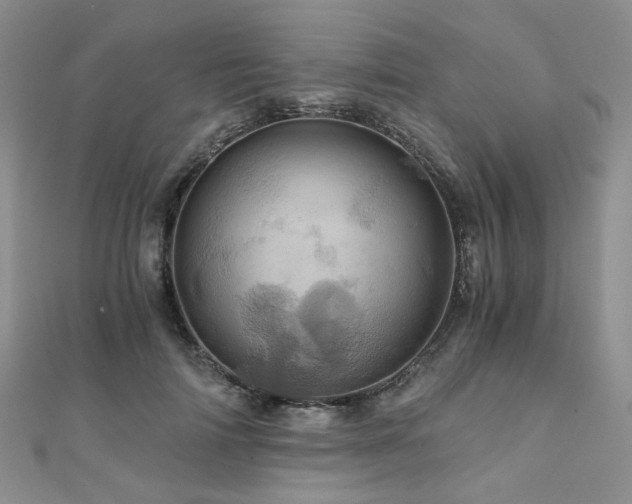 X0000110870698200906181202