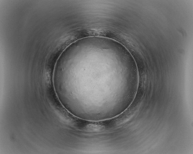 X0000110870699200906181202