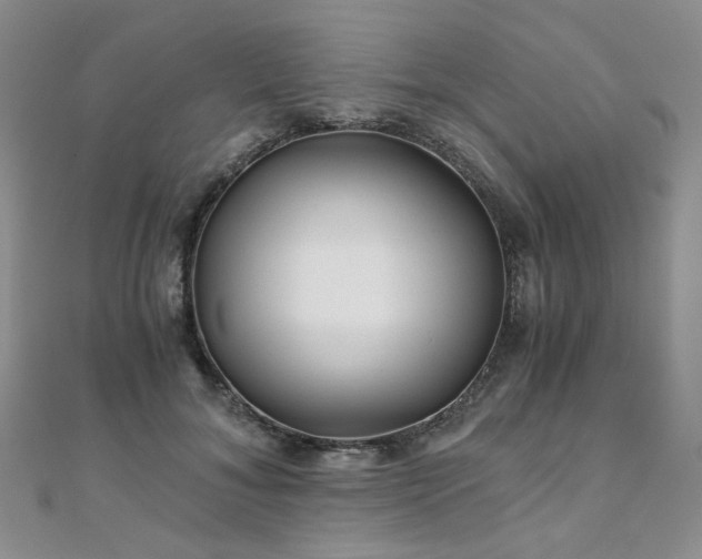 X0000110870700200906181202