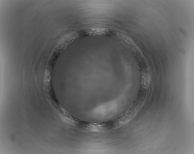 X0000110870701200906181202