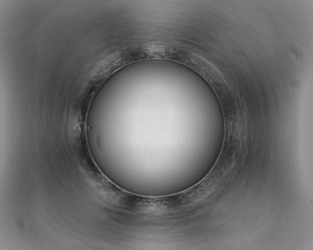 X0000110870702200906181202