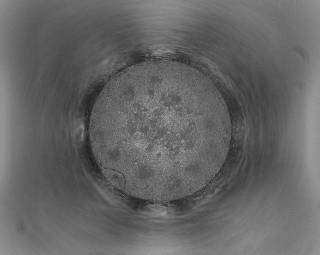 X0000110870703200906181202