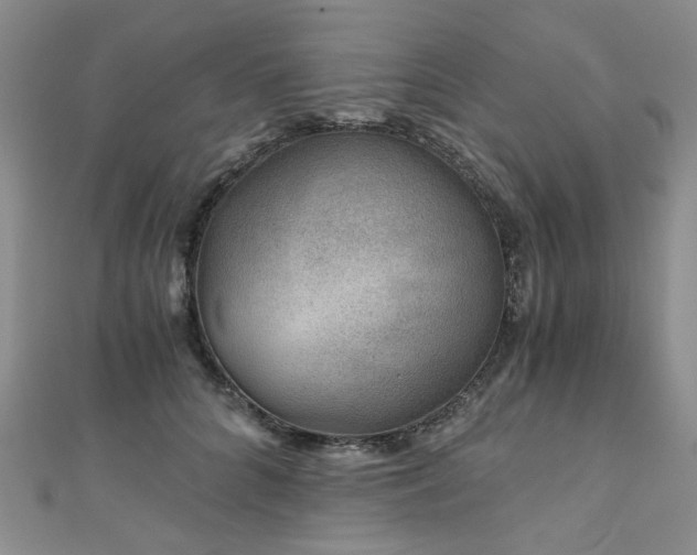 X0000110870704200906181202