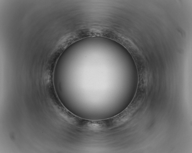 X0000110870706200906181202