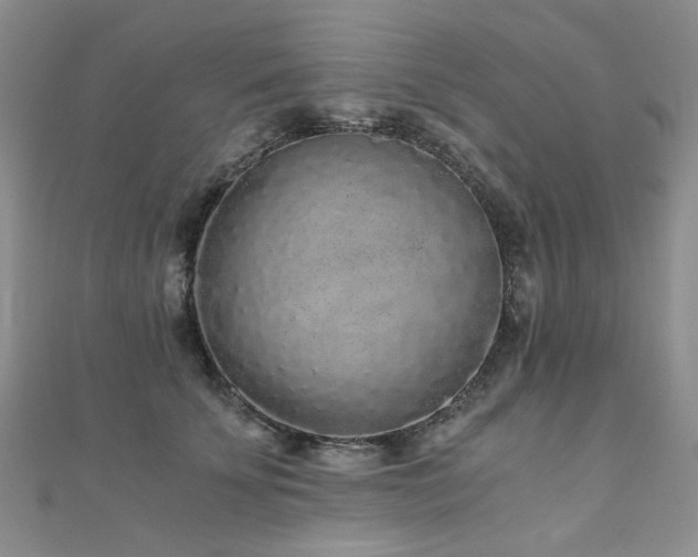 X0000110870707200906181202