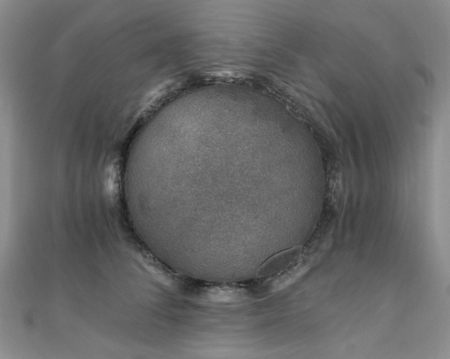 X0000110870708200906181202