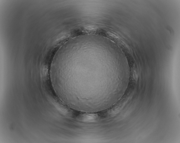 X0000110870711200906181202