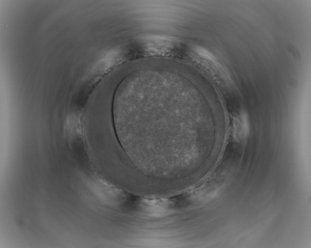 X0000110870712200906181202