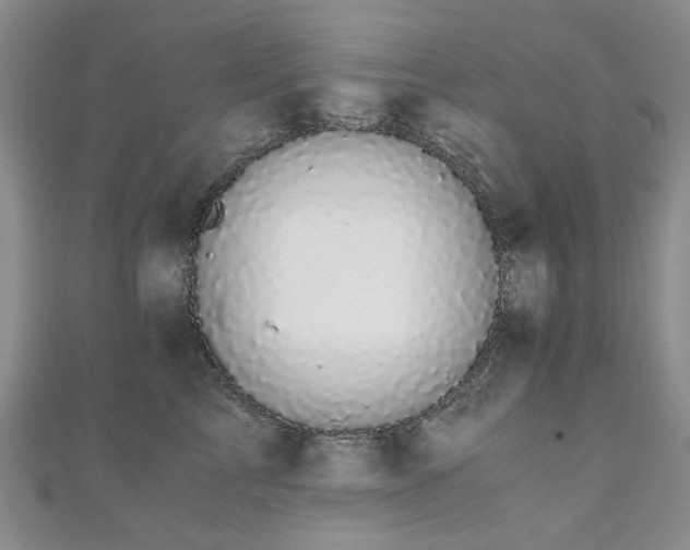 X0000110870713200906181202