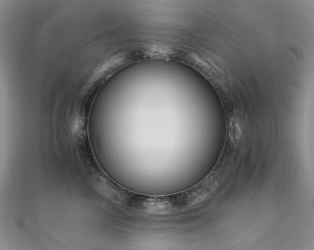 X0000110870714200906181202