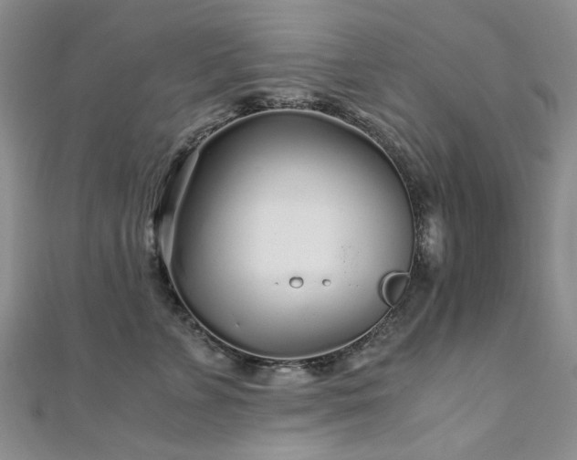 X0000110870715200906181202