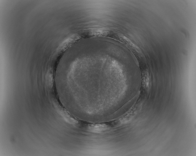 X0000110870716200906181202