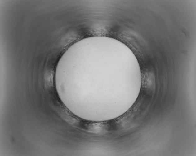 X0000110870717200906181202