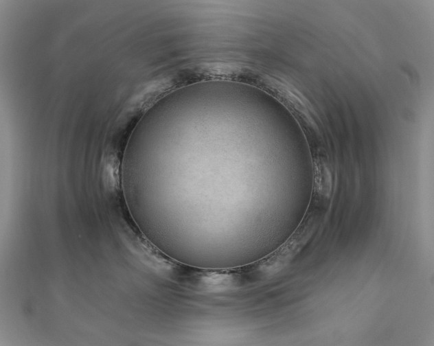 X0000110870718200906181202