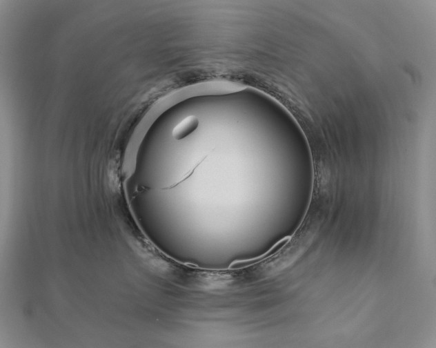 X0000110870719200906181202