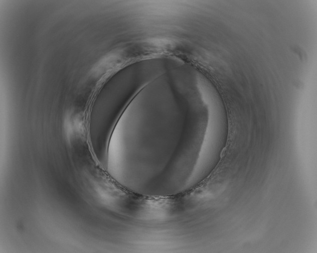 X0000110870720200906181202