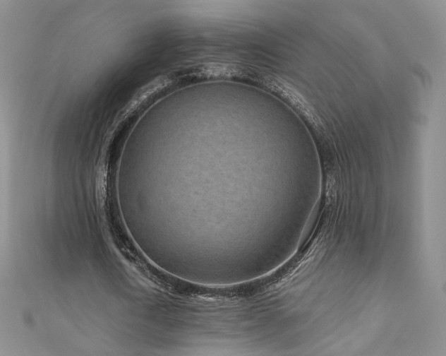 X0000110870722200906181201