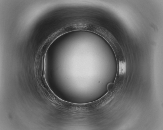 X0000110870723200906181202