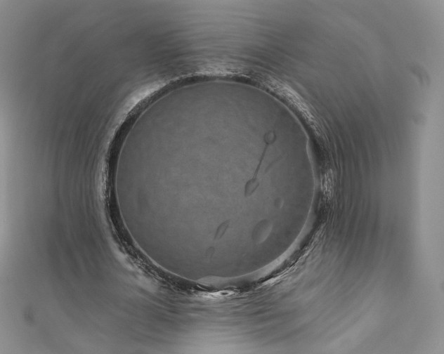 X0000110870724200906181202