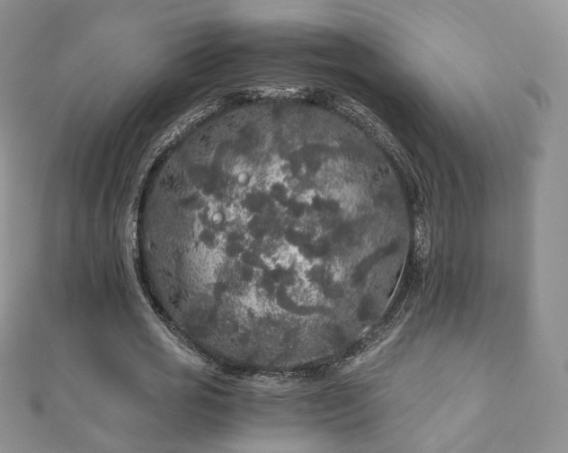 X0000110870725200906181202