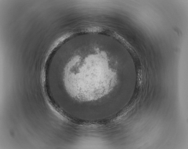 X0000110870726200906181202