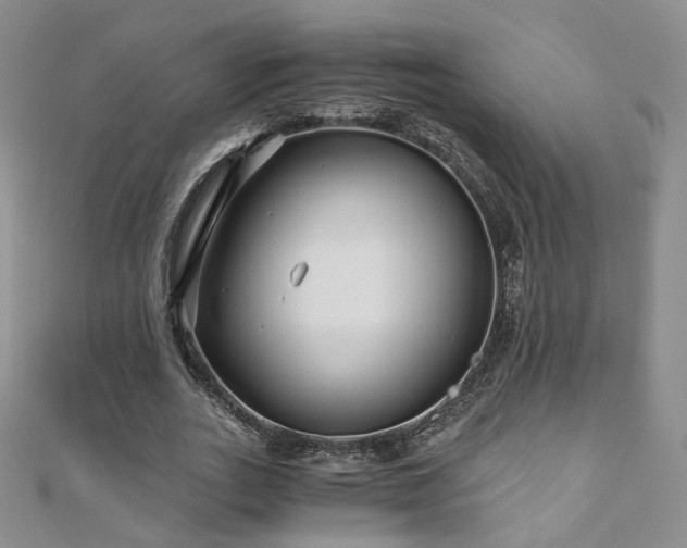 X0000110870727200906181202