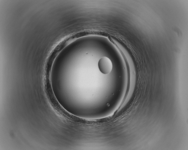 X0000110870728200906181202