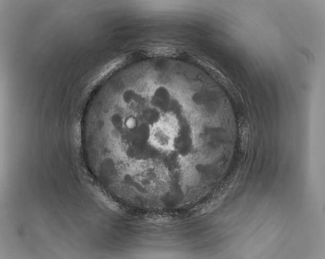 X0000110870729200906181202