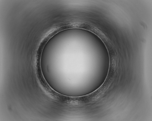 X0000110870730200906181202