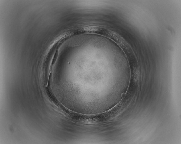 X0000110870731200906181202