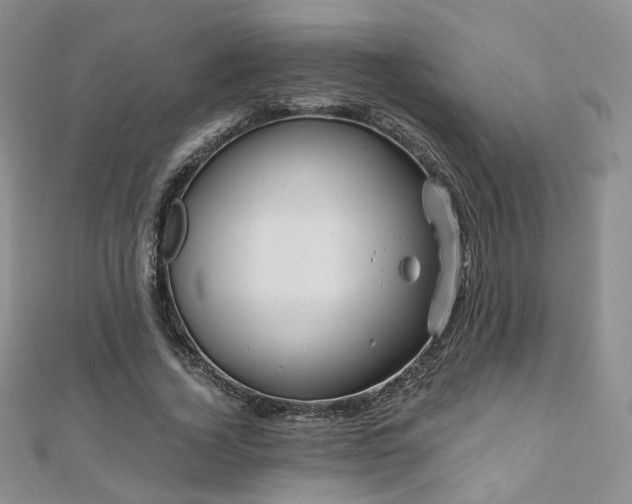 X0000110870732200906181202