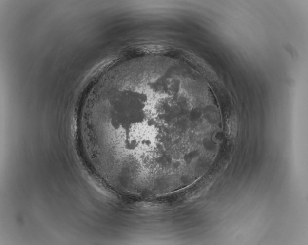 X0000110870733200906181202