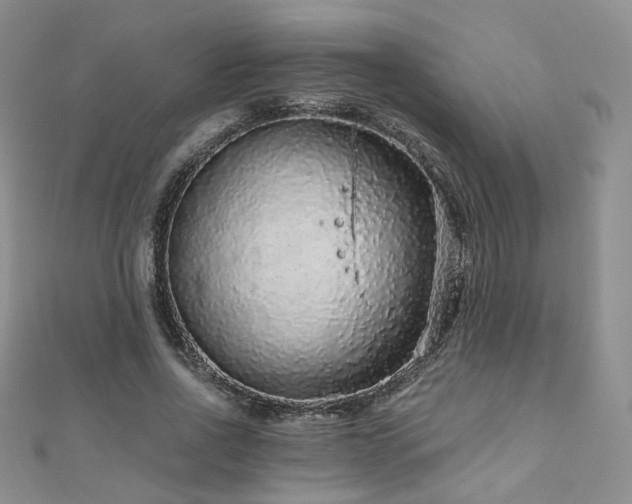 X0000110870734200906181202