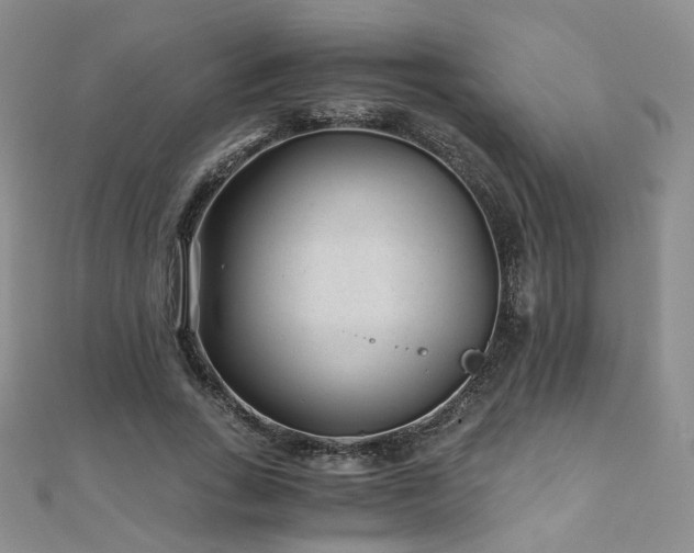 X0000110870735200906181202