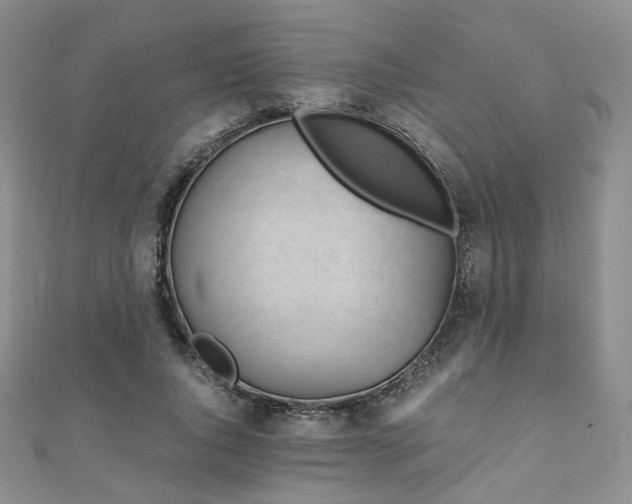 X0000110870736200906181202