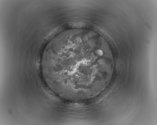 X0000110870737200906181202