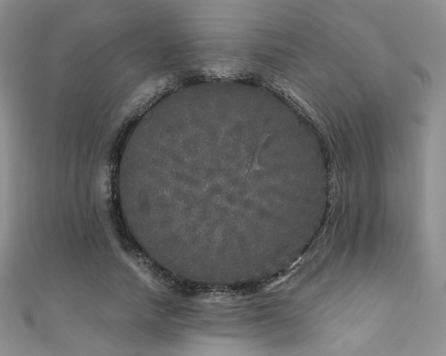 X0000110870738200906181202