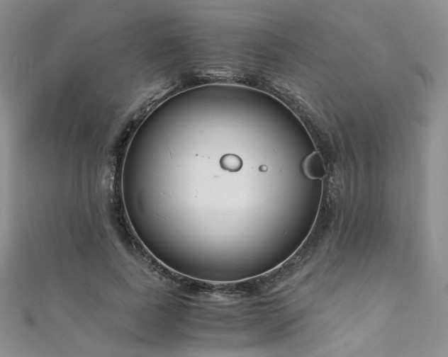 X0000110870739200906181202