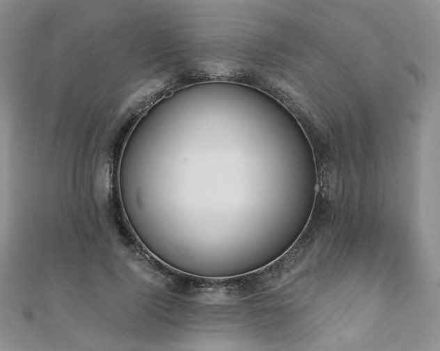 X0000110870740200906181202