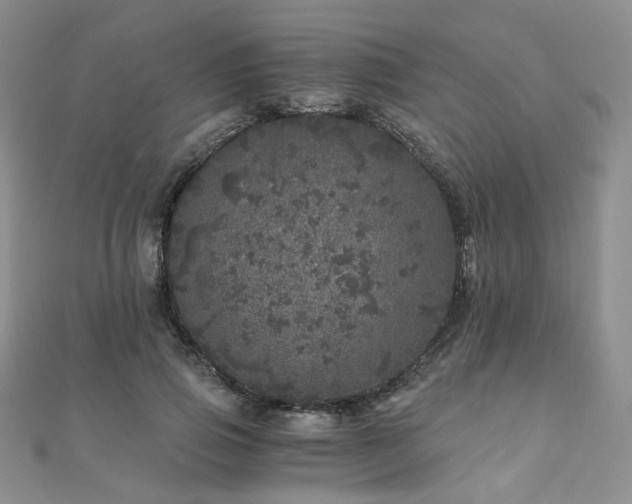 X0000110870741200906181202