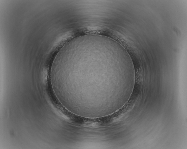 X0000110870742200906181202