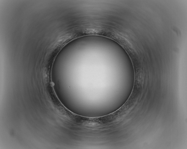 X0000110870743200906181202