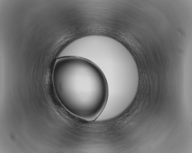 X0000110870744200906181202